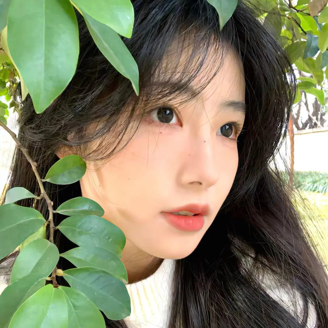 梨酒与香烟